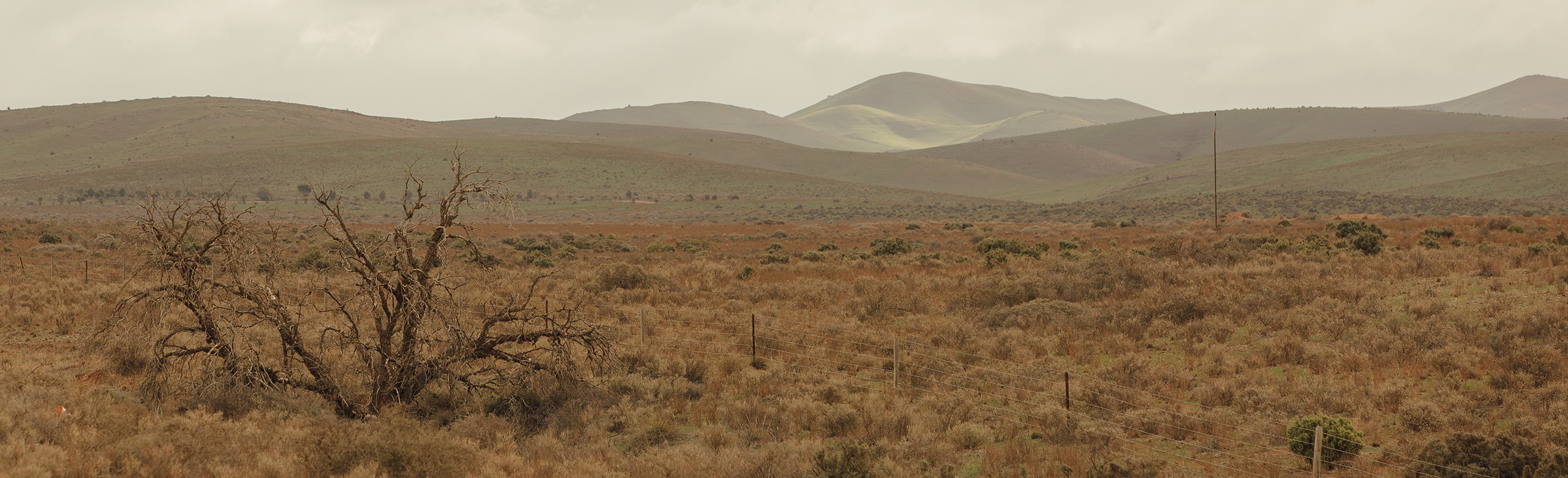 Codan_HF_RollingHills-Landscape_Header_GP_a6665ddb05d25240d7cb37899a97ec71